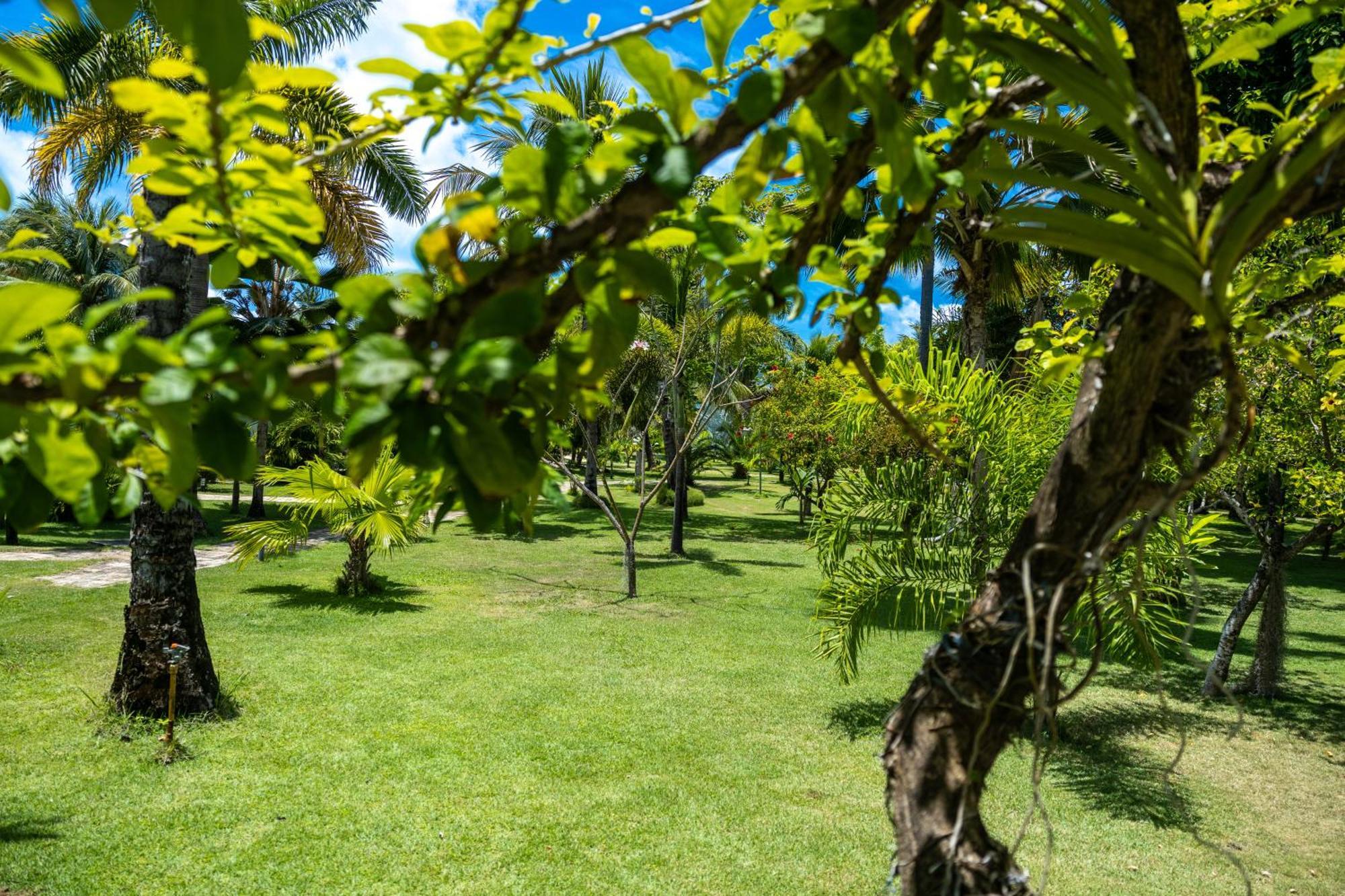 Pousada Aldeia Beijupirá Pôrto de Pedras Exterior foto